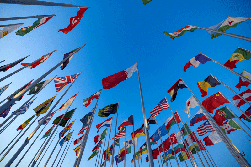 flagcircle-horz International flags